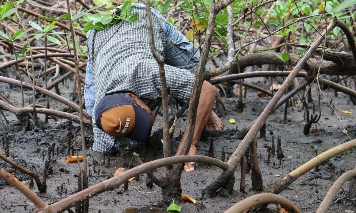 Leia mais sobre o artigo Cadastro para o Projeto Vida no Mangue 2026 tem início no dia 19 de maio