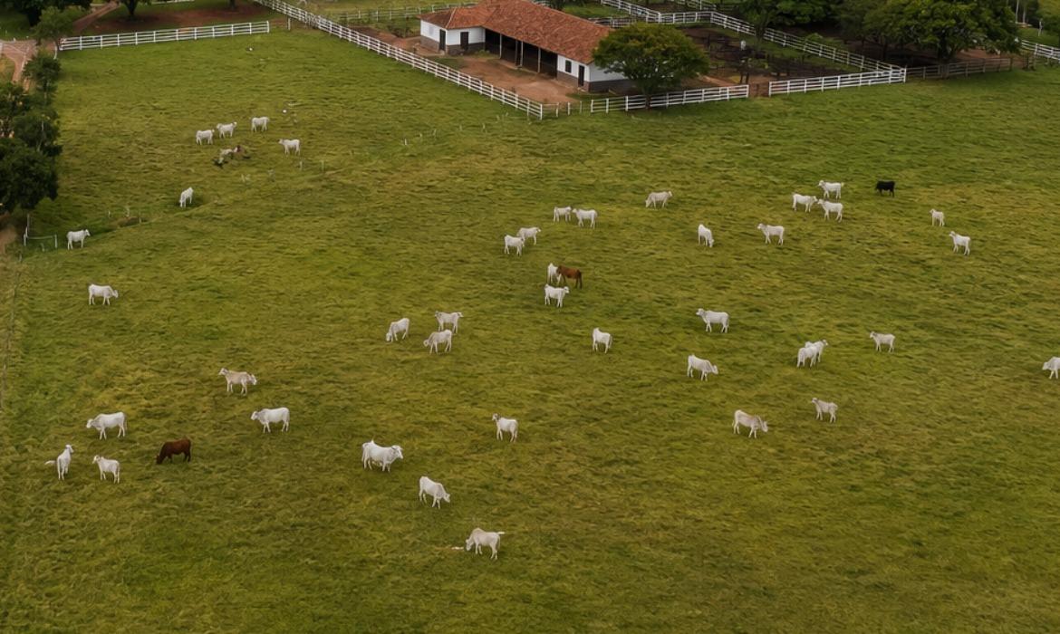 Leia mais sobre o artigo Produtores rurais têm até 30 de junho para atualizar cadastro de rebanhos junto ao Idaf
