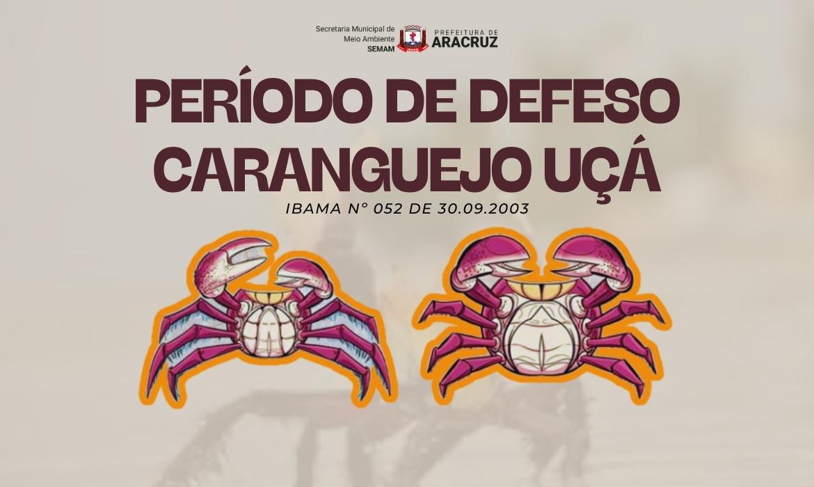 Leia mais sobre o artigo Período de defeso do caranguejo-uçá começa em outubro e restringe captura e comercialização
