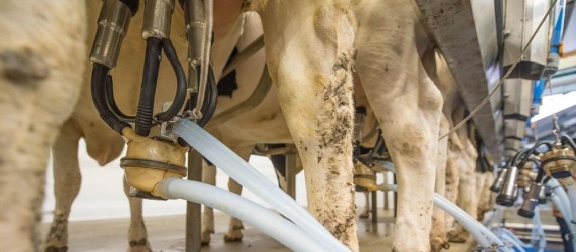 Os equipamentos culturais reabilitados no Centro Histórico de Vitória representam a oportunidade de transformar patrimônios arquitetônicos em vetores de dinamização cultural e econômica, incentivando o turismo, a educação patrimonial e a valorização da - 27