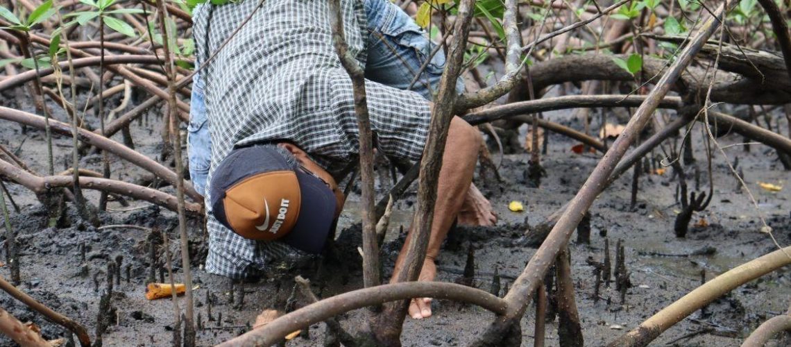 cadastro-para-o-projeto-vida-no-mangue-2026-tem-inicio-no-dia-19-de-maio-15088-capa