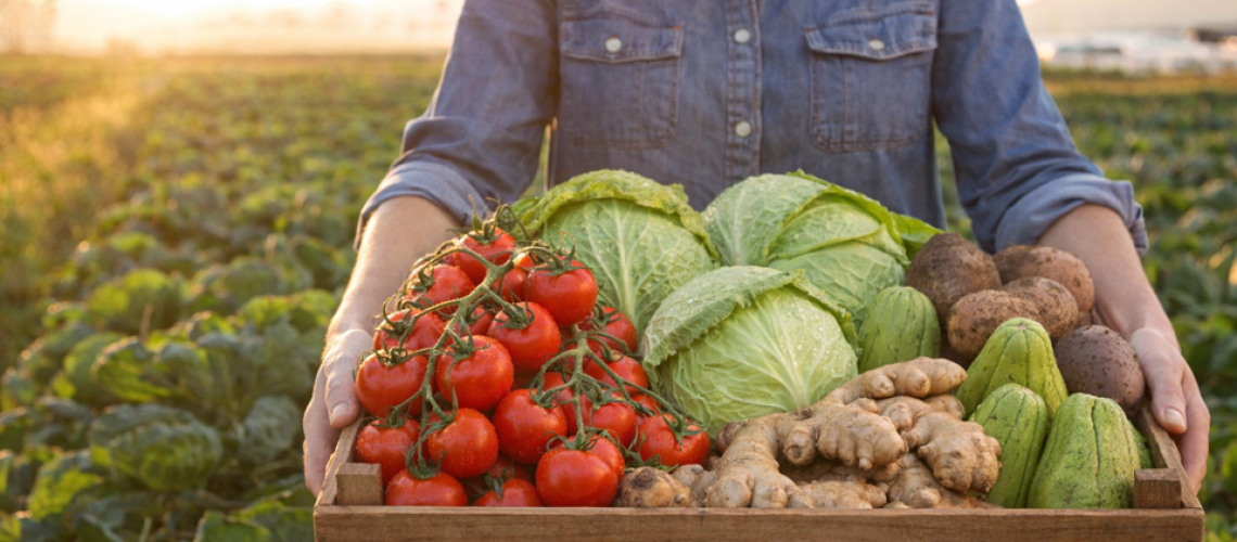 file_00000000ab8c720e8274897aabb301b9 (1)