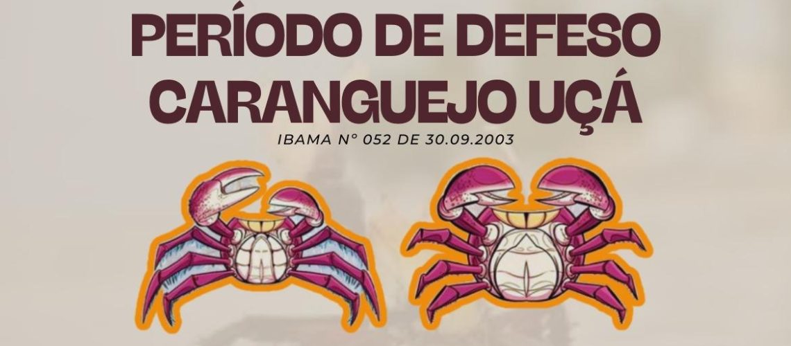 periodo-de-defeso-do-caranguejo-uca-comeca-em-outubro-e-restringe-captura-e-comercializacao-15555-capa